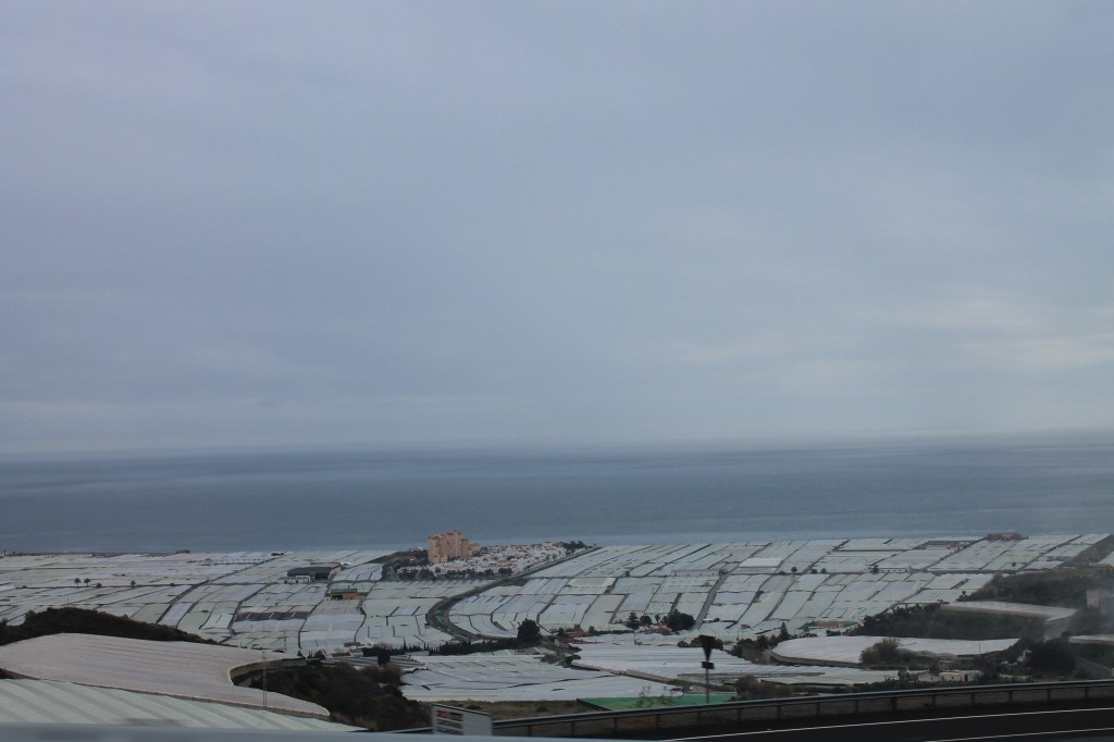mountain top view of greenhouses stretching to the ocean