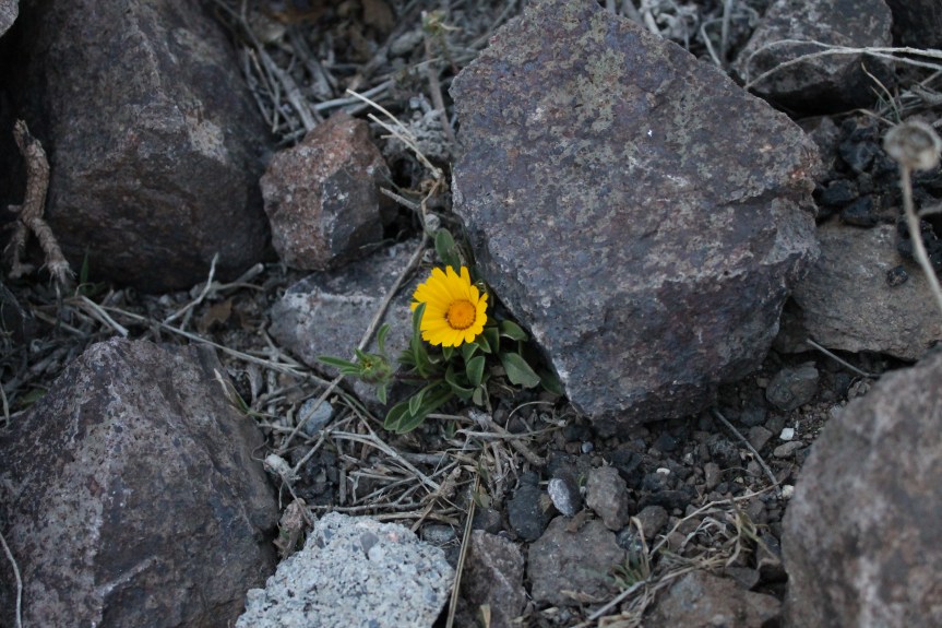 Let us become more&nbsp;aware