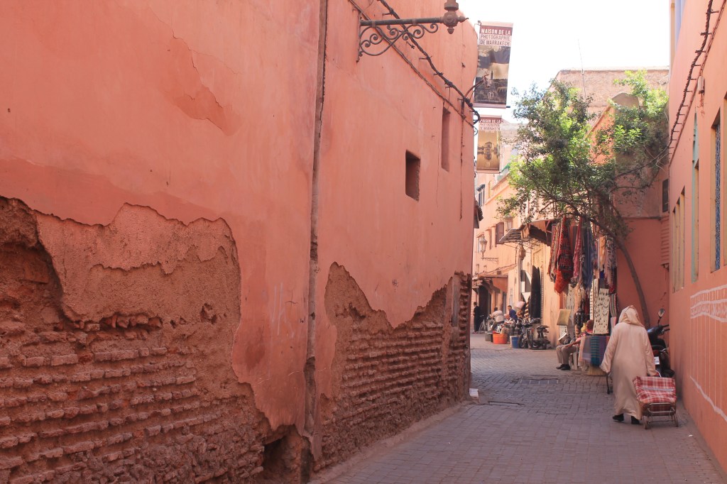 hooded person with shopping cart walking between city walls
