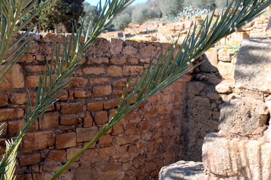 palm fronds against brick wall