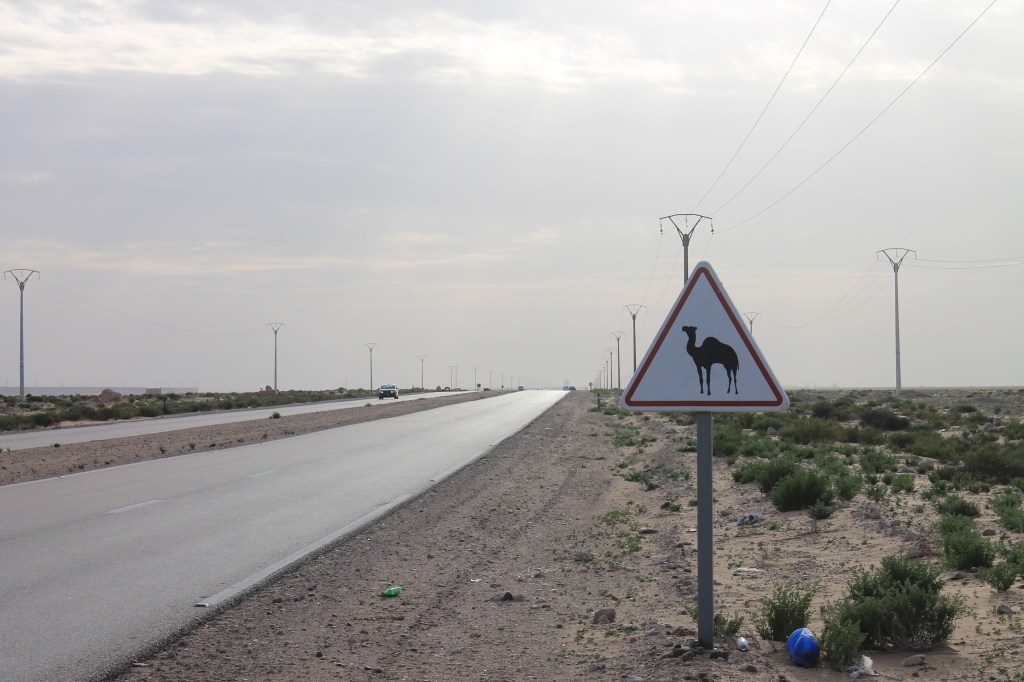 camel sign along highway
