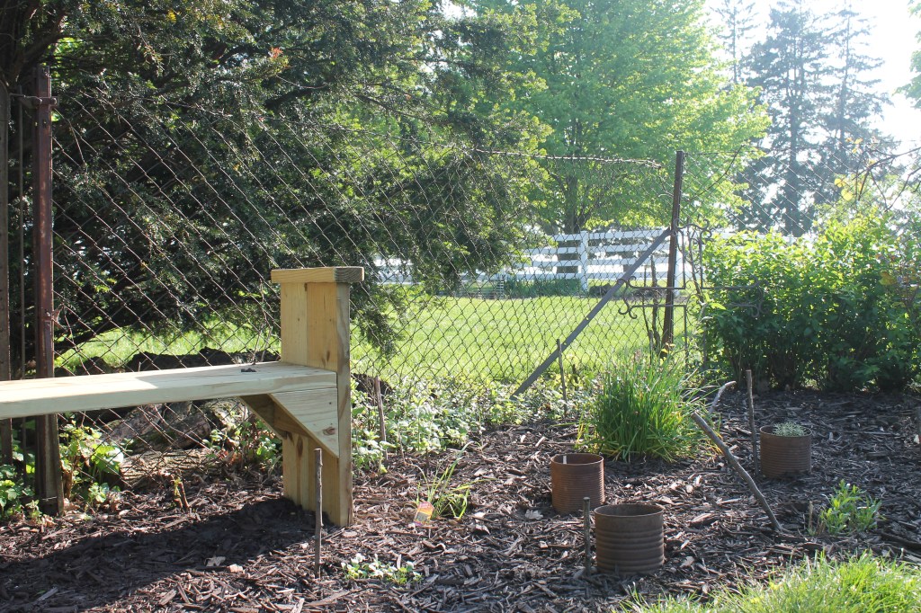 herb garden with wooden bench and herbs protected by rusty aluminum cans