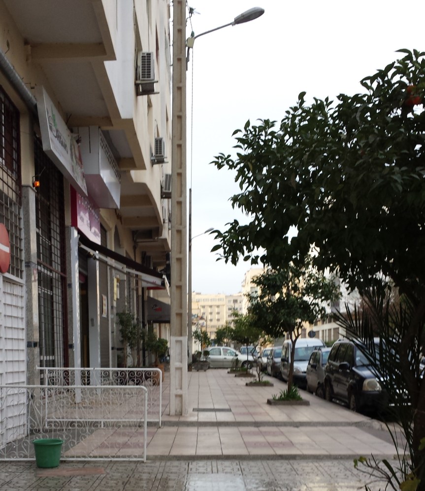 Do you want to know the apricot tree?- Part&nbsp;1