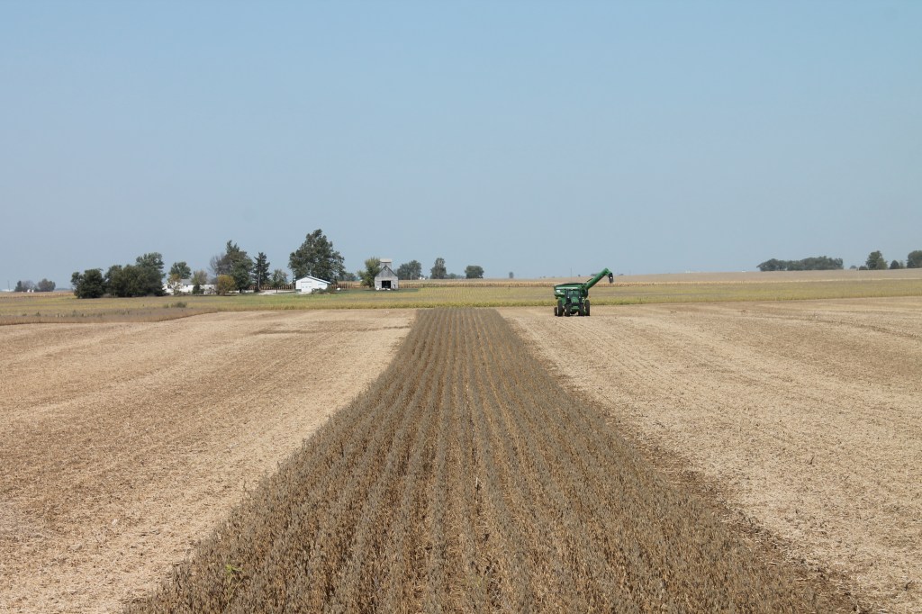 tractor in partially harvested bean field
