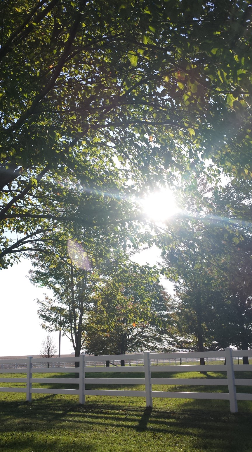 Tomorrow hasn’t arrived&nbsp;yet