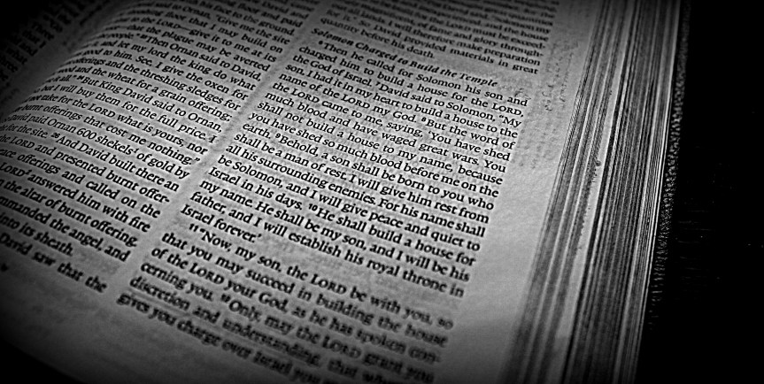 Dare to give away your&nbsp;dream