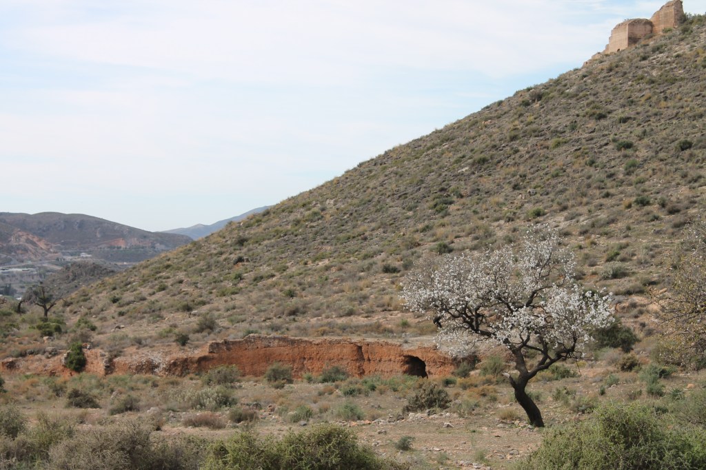 hillside with ruins and blossoming tree