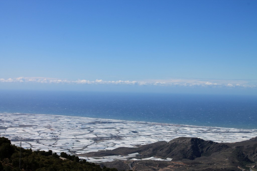 view from mountain of sea of white plastic greenhouses with blue mediterranean in beyond