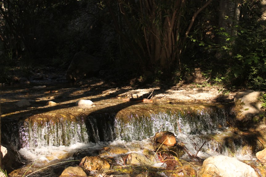 20 more things I’m thankful&nbsp;for