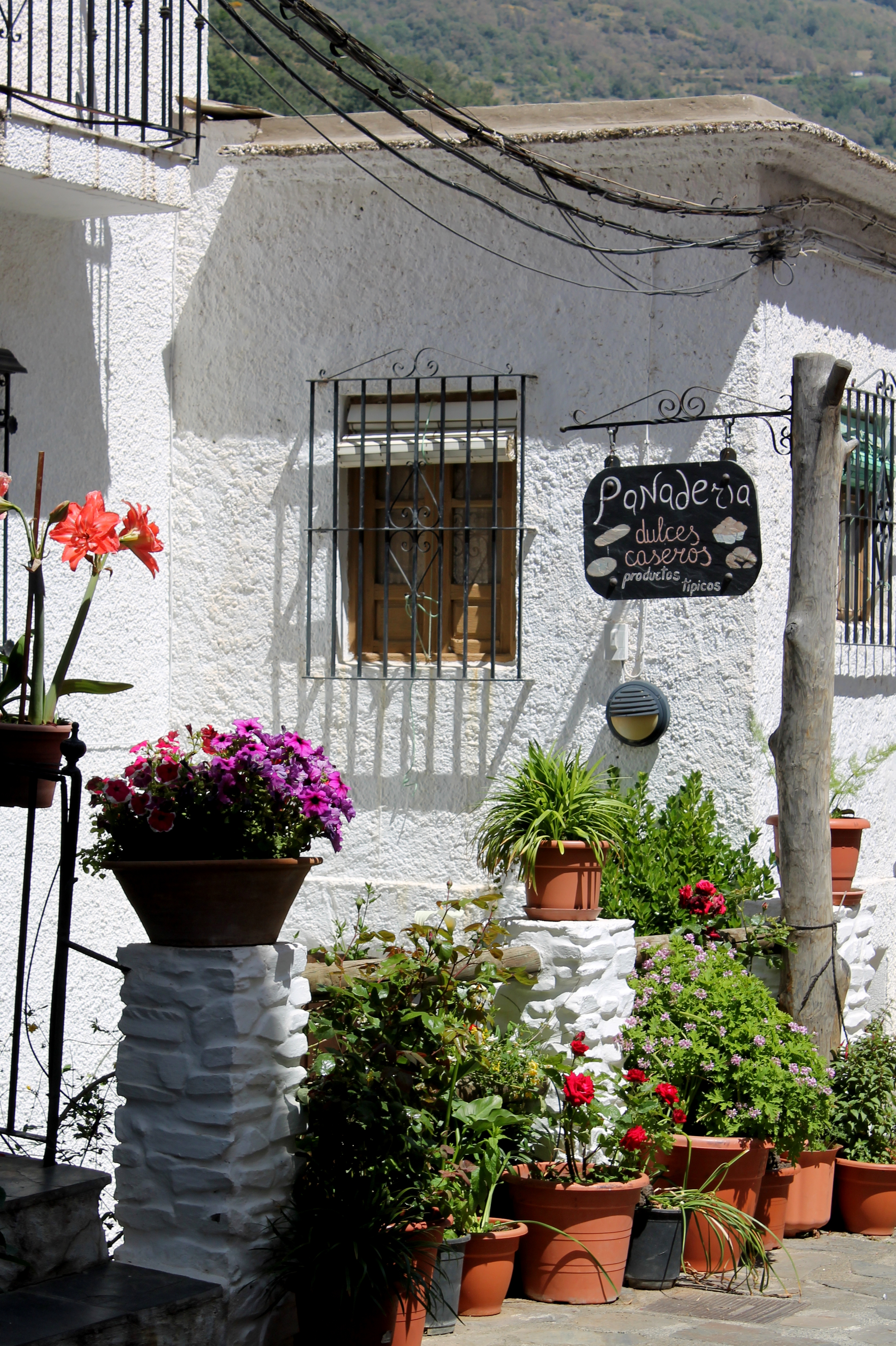 bakery sign above colorful plants