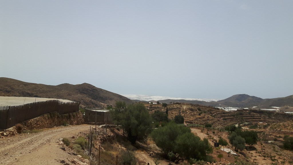 rolling Spanish agricultural countryside
