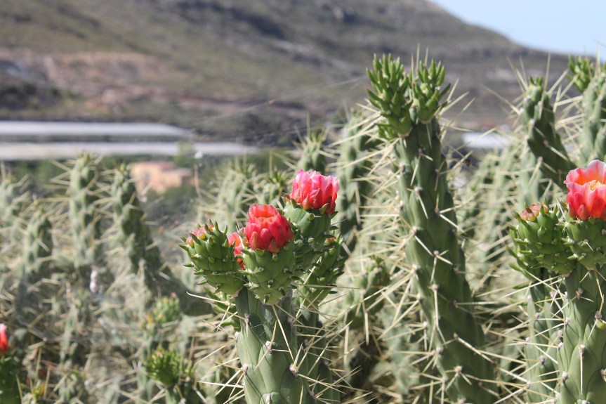 Are you a people-pleaser?- Part&nbsp;1