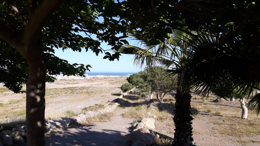 Spring turned summer