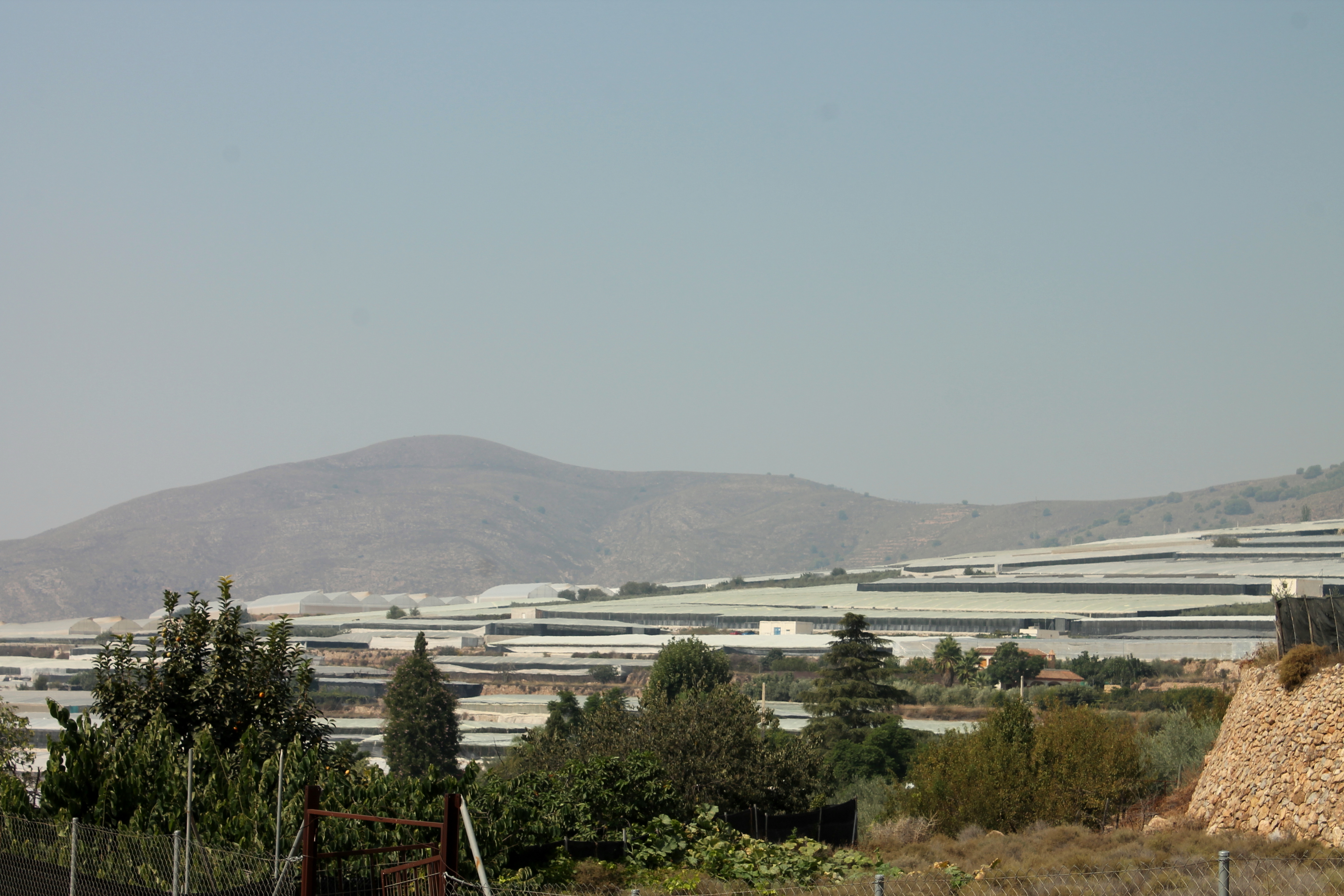 mountain side of greenhouses
