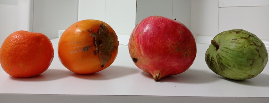 Saving the best for last: what’s been happening&nbsp;recently