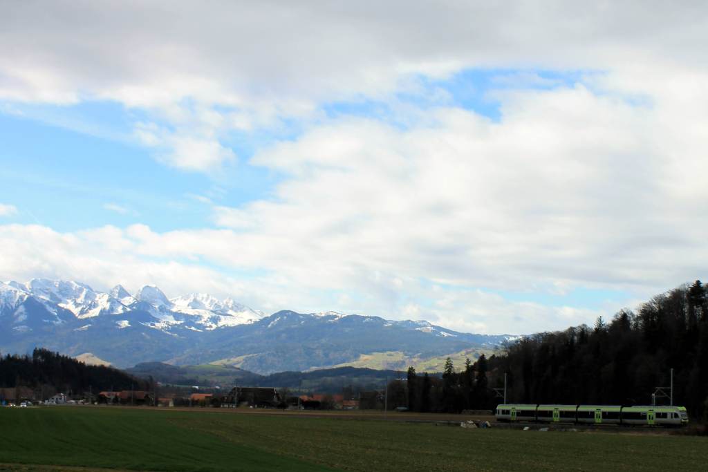 green field with snow-capped mountains in the distance and train