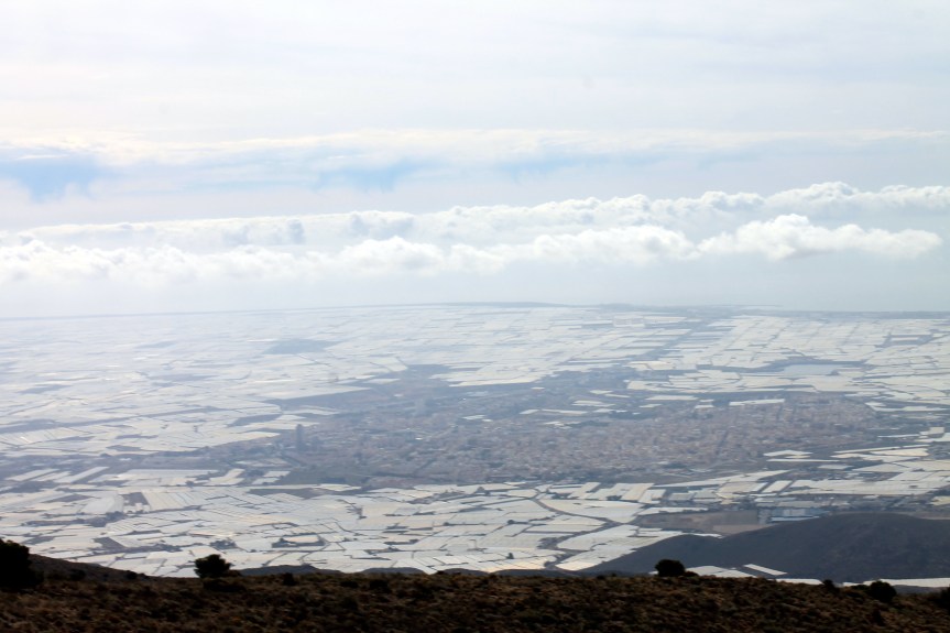 Back to the land of the&nbsp;greenhouses