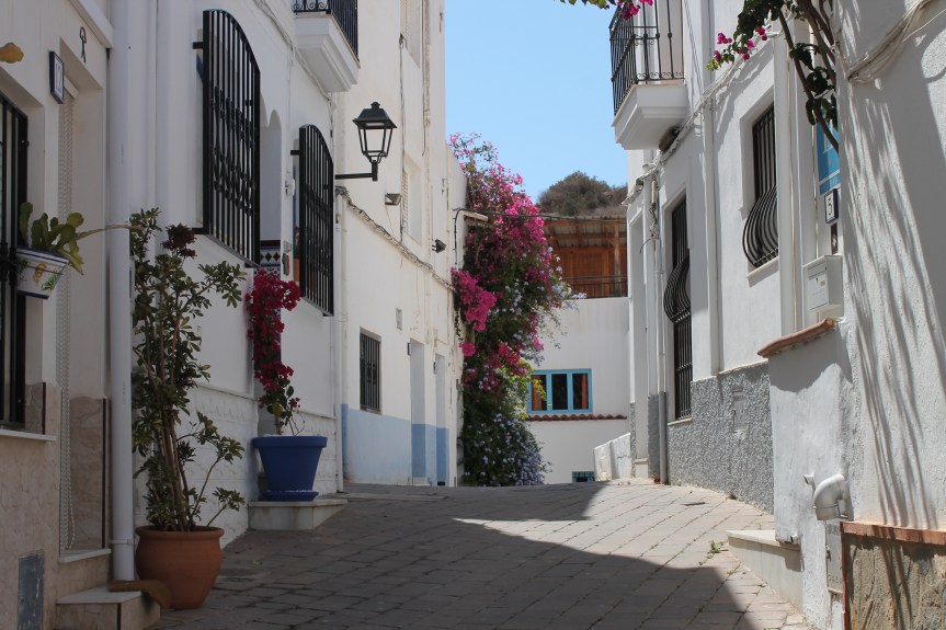 White street with flowers