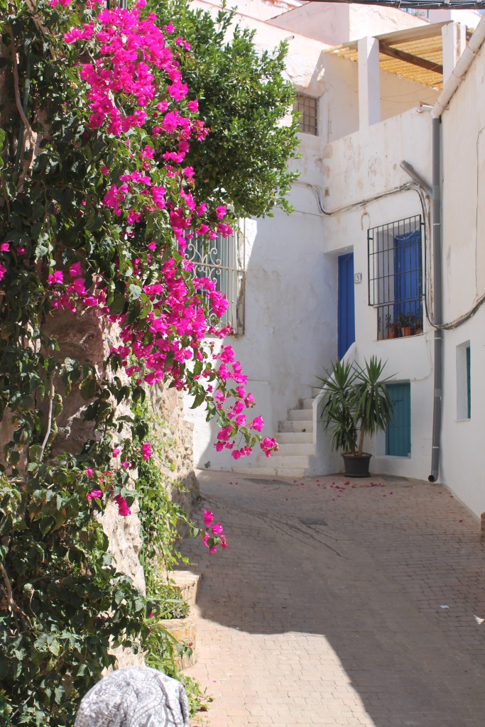 Home with blue door and bright pink bougainvillea